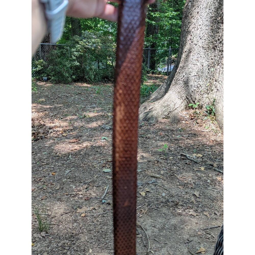 Bill Lavin "Soft Collection" Python-Texture Embossed Brown Leather Belt - Picture 7 of 9